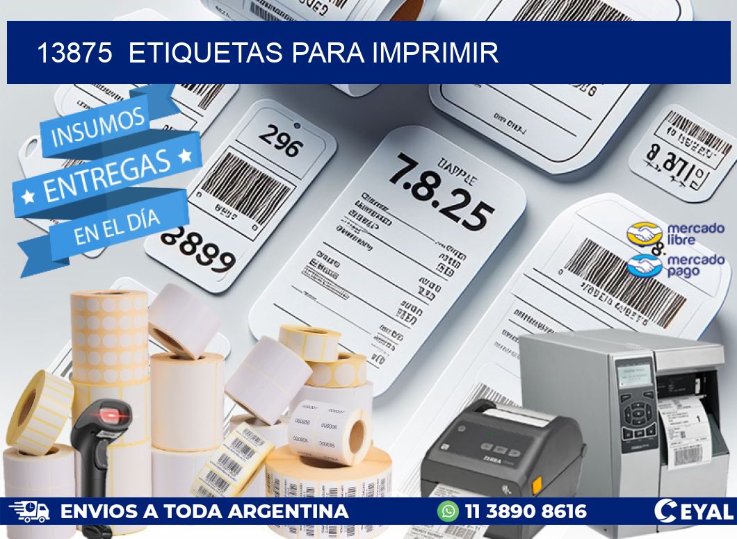 13875 ETIQUETAS PARA IMPRIMIR Insumos Datamax Zebra ARG