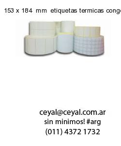 153 x 184  mm  etiquetas termicas congelado