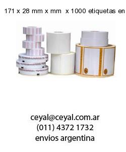 171 x 28 mm x mm  x 1000 etiquetas en rollo
