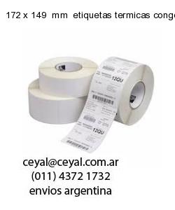 172 x 149  mm  etiquetas termicas congelados