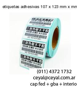 etiquetas adhesivas 107 x 123 mm x mm