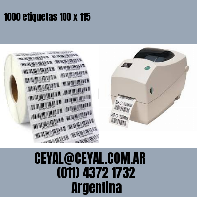 1000 etiquetas 100 x 115