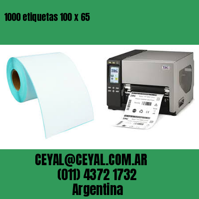 1000 etiquetas 100 x 65