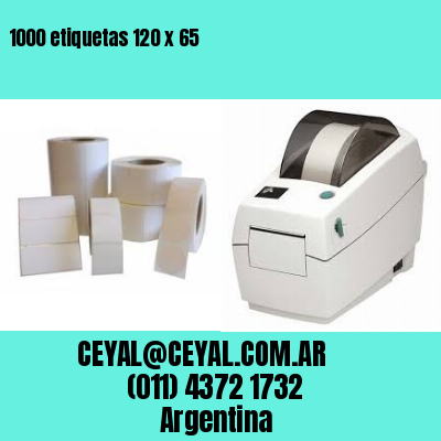 1000 etiquetas 120 x 65
