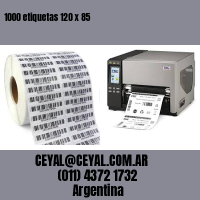 1000 etiquetas 120 x 85