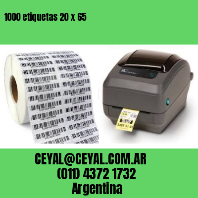 1000 etiquetas 20 x 65