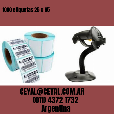 1000 etiquetas 25 x 65