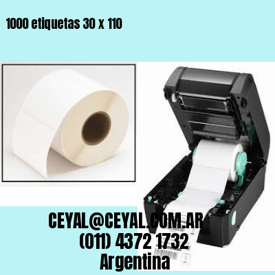 1000 etiquetas 30 x 110