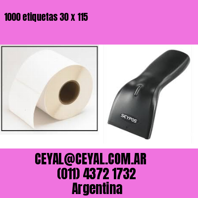 1000 etiquetas 30 x 115