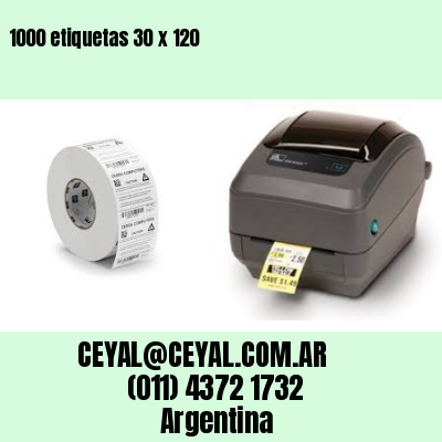 1000 etiquetas 30 x 120