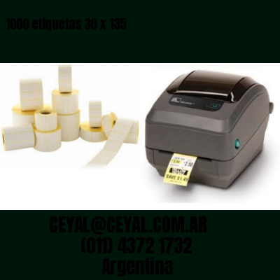 1000 etiquetas 30 x 135