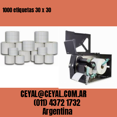 1000 etiquetas 30 x 30