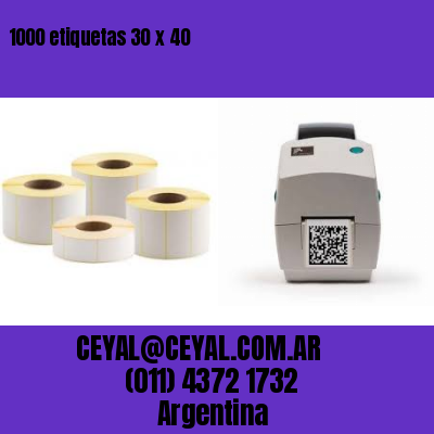1000 etiquetas 30 x 40