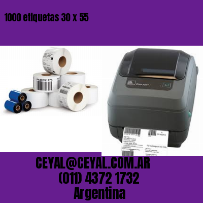 1000 etiquetas 30 x 55