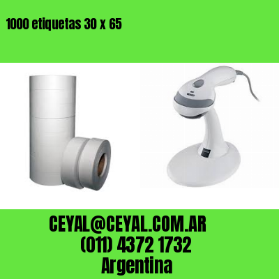 1000 etiquetas 30 x 65