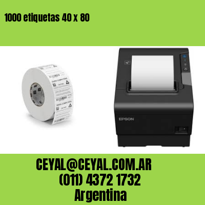 1000 etiquetas 40 x 80