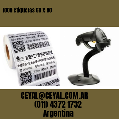 1000 etiquetas 60 x 80