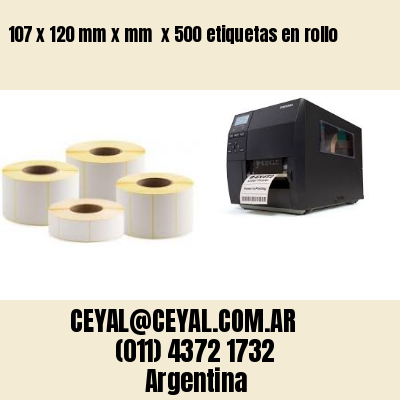 107 x 120 mm x mm  x 500 etiquetas en rollo