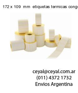 172 x 109  mm  etiquetas termicas congelados