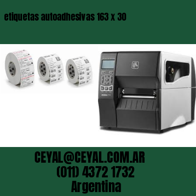 etiquetas autoadhesivas 163 x 30