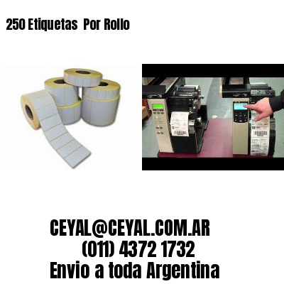 250 Etiquetas  Por Rollo