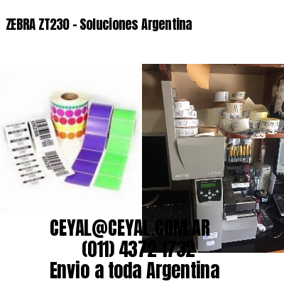 ZEBRA ZT230 – Soluciones Argentina