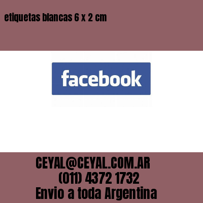 etiquetas blancas 6 x 2 cm