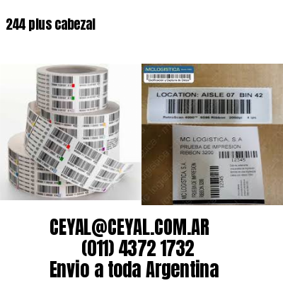 244 plus cabezal