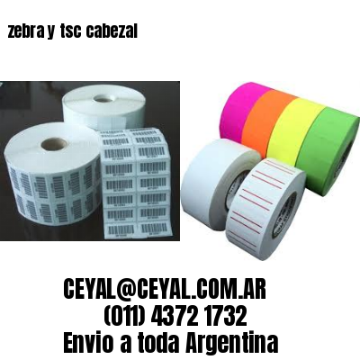 zebra y tsc cabezal