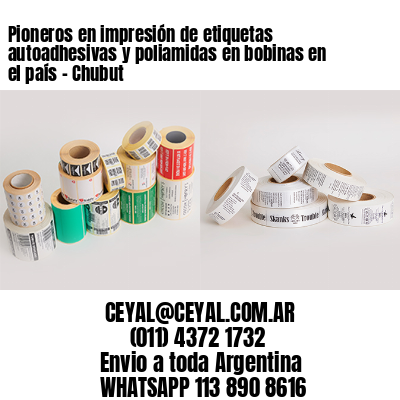Pioneros en impresión de etiquetas autoadhesivas y poliamidas en bobinas en el país – Chubut