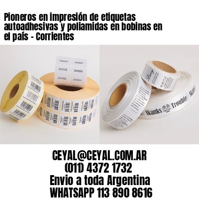 Pioneros en impresión de etiquetas autoadhesivas y poliamidas en bobinas en el país - Corrientes