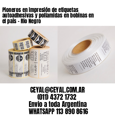 Pioneros en impresión de etiquetas autoadhesivas y poliamidas en bobinas en el país – Rio Negro