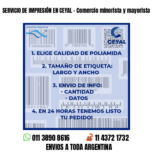 SERVICIO DE IMPRESIÓN EN CEYAL – Comercio minorista y mayorista