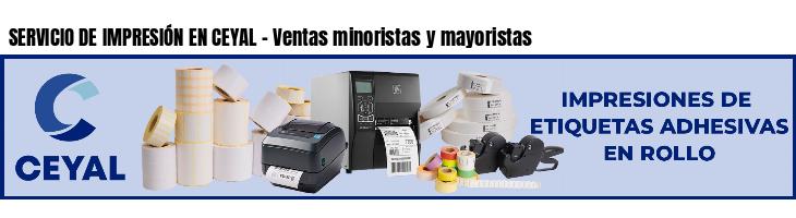 SERVICIO DE IMPRESIÓN EN CEYAL - Ventas minoristas y mayoristas