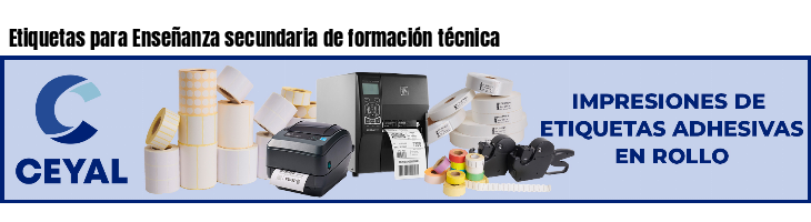 Etiquetas para Enseñanza secundaria de formación técnica