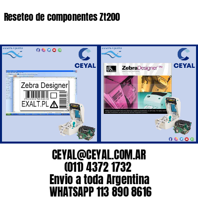 Reseteo de componentes Zt200
