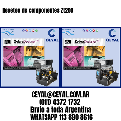 Reseteo de componentes Zt200