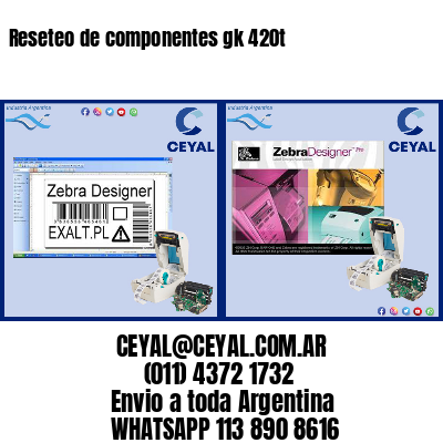 Reseteo de componentes gk 420t