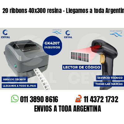20 ribbons 40x300 resina - Llegamos a toda Argentina
