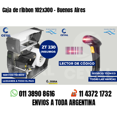 Caja de ribbon 102x300 - Buenos Aires