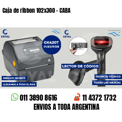 Caja de ribbon 102x300 - CABA