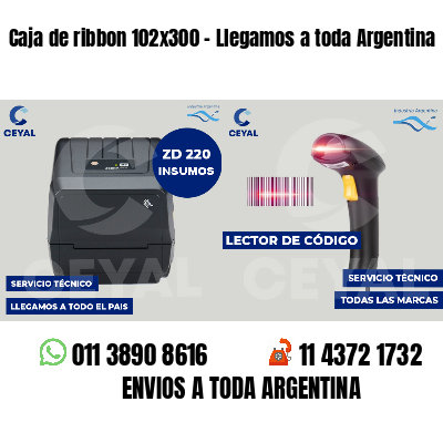 Caja de ribbon 102x300 - Llegamos a toda Argentina
