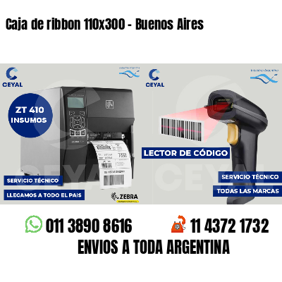 Caja de ribbon 110x300 - Buenos Aires