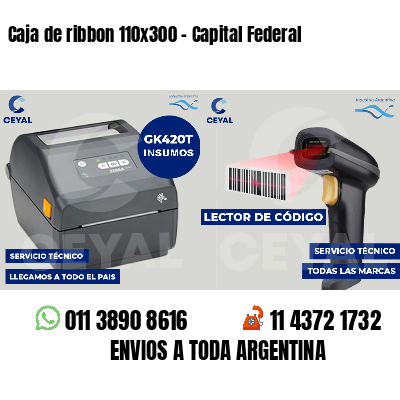 Caja de ribbon 110x300 - Capital Federal