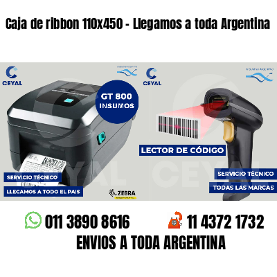 Caja de ribbon 110x450 - Llegamos a toda Argentina