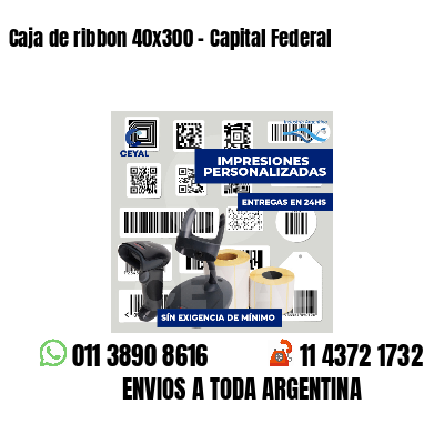 Caja de ribbon 40x300 - Capital Federal