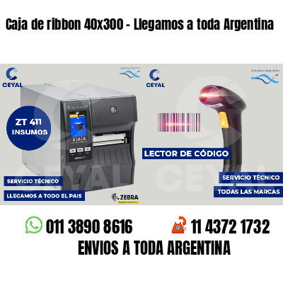 Caja de ribbon 40x300 - Llegamos a toda Argentina