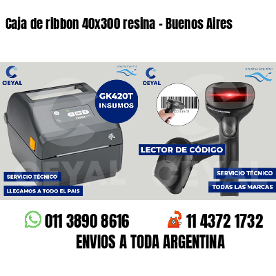 Caja de ribbon 40x300 resina - Buenos Aires
