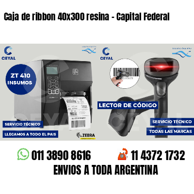 Caja de ribbon 40x300 resina - Capital Federal