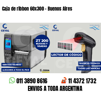 Caja de ribbon 60x300 - Buenos Aires